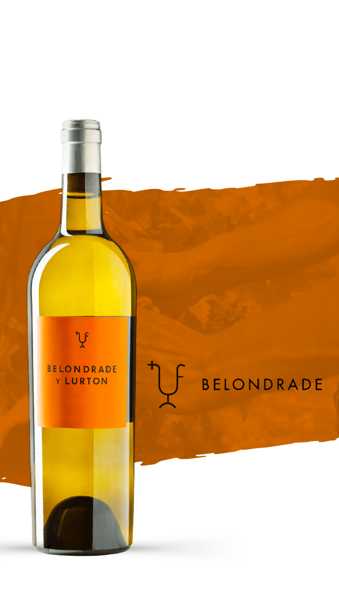 Icon of the Spanish wine world, Belondrade y Lurton arrives at Vinha