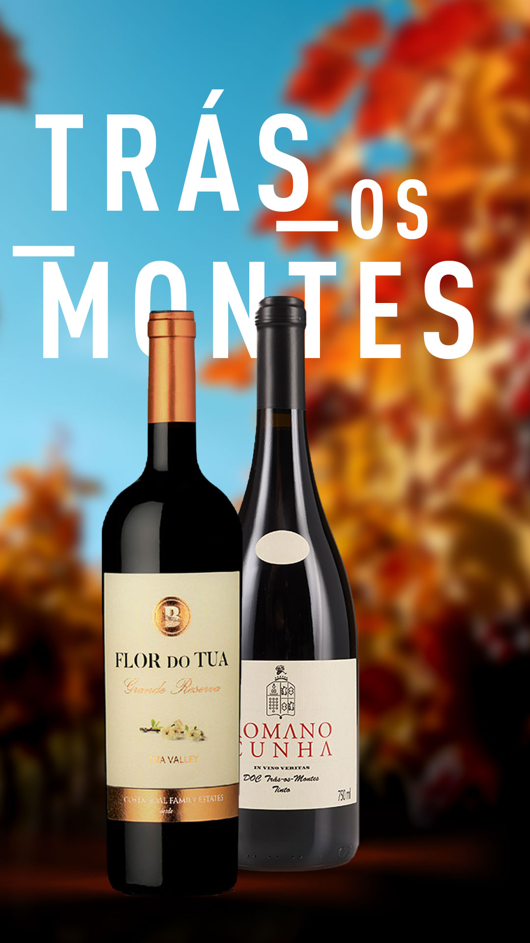 Trás-os-Montes: Authentic Wines, Forged by Climate and Mountains