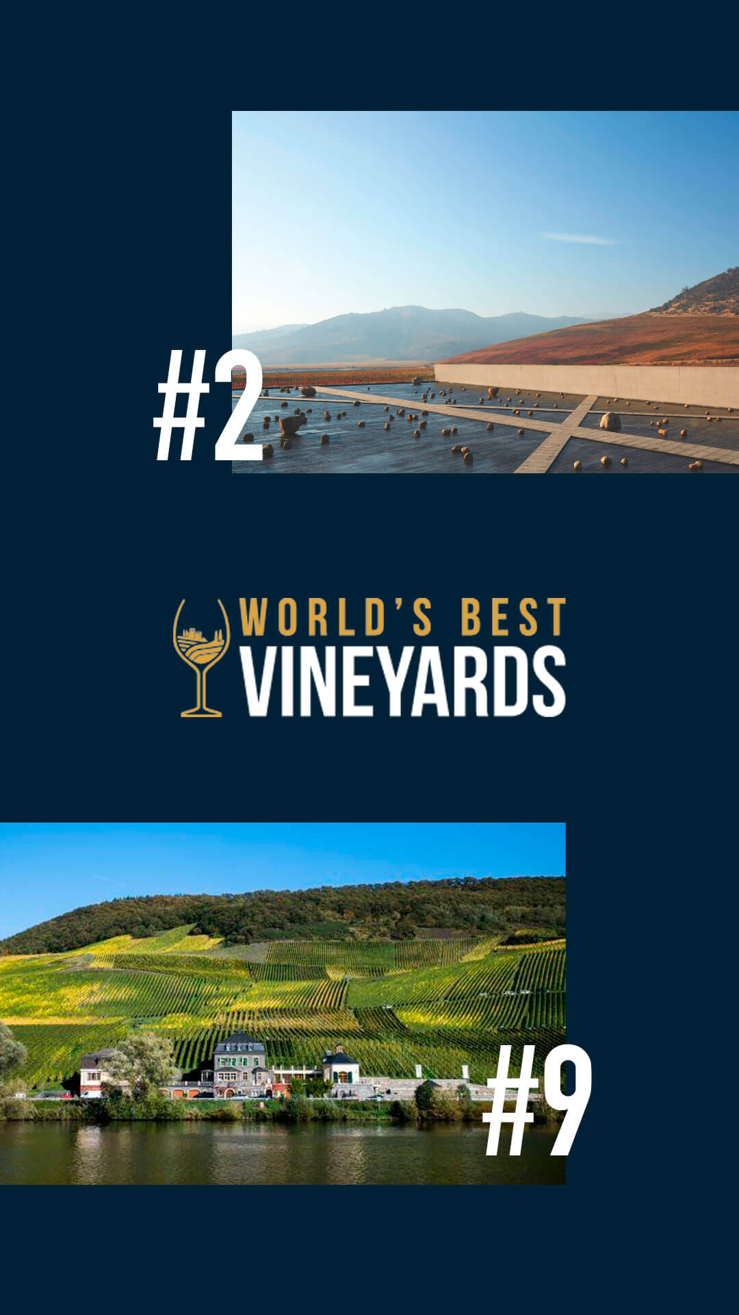 World’s Best Vineyards 2024: The 50 Best Vineyards in the World