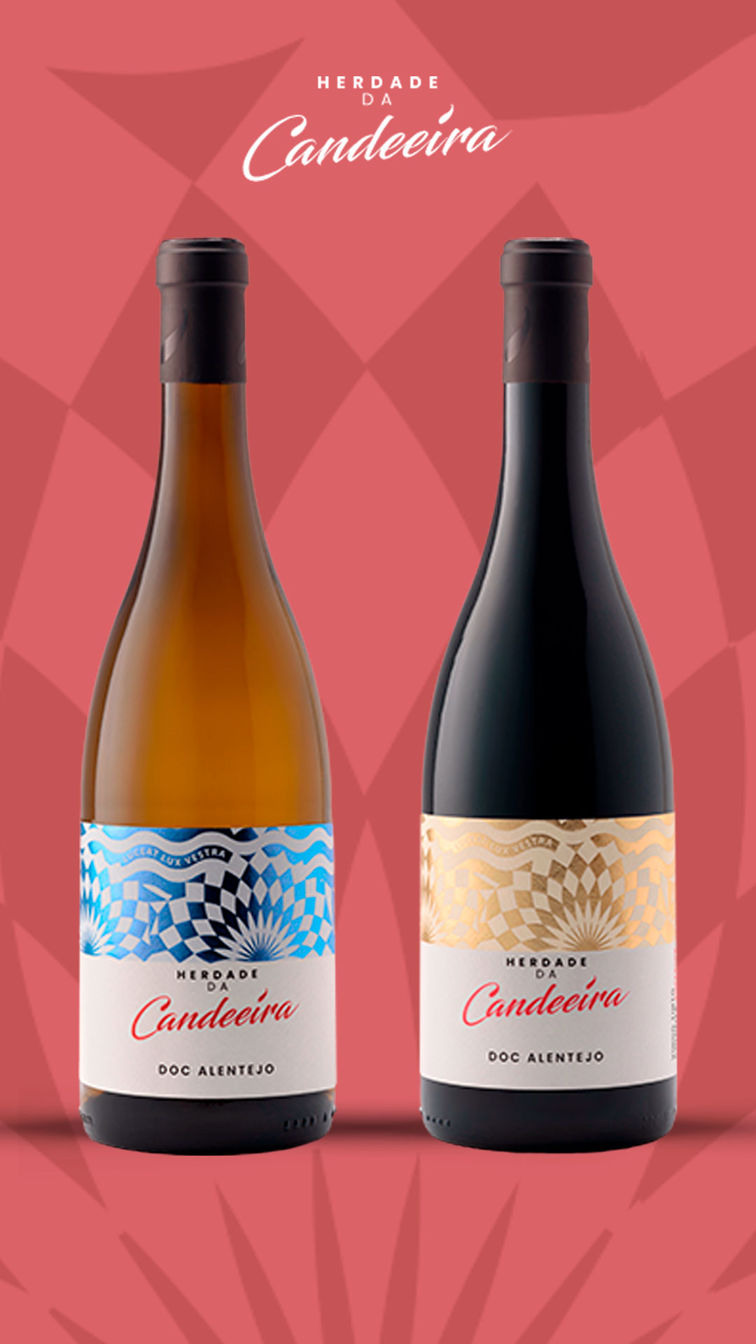 Herdade da Candeeira: The Soul of Alentejo in Every Sip