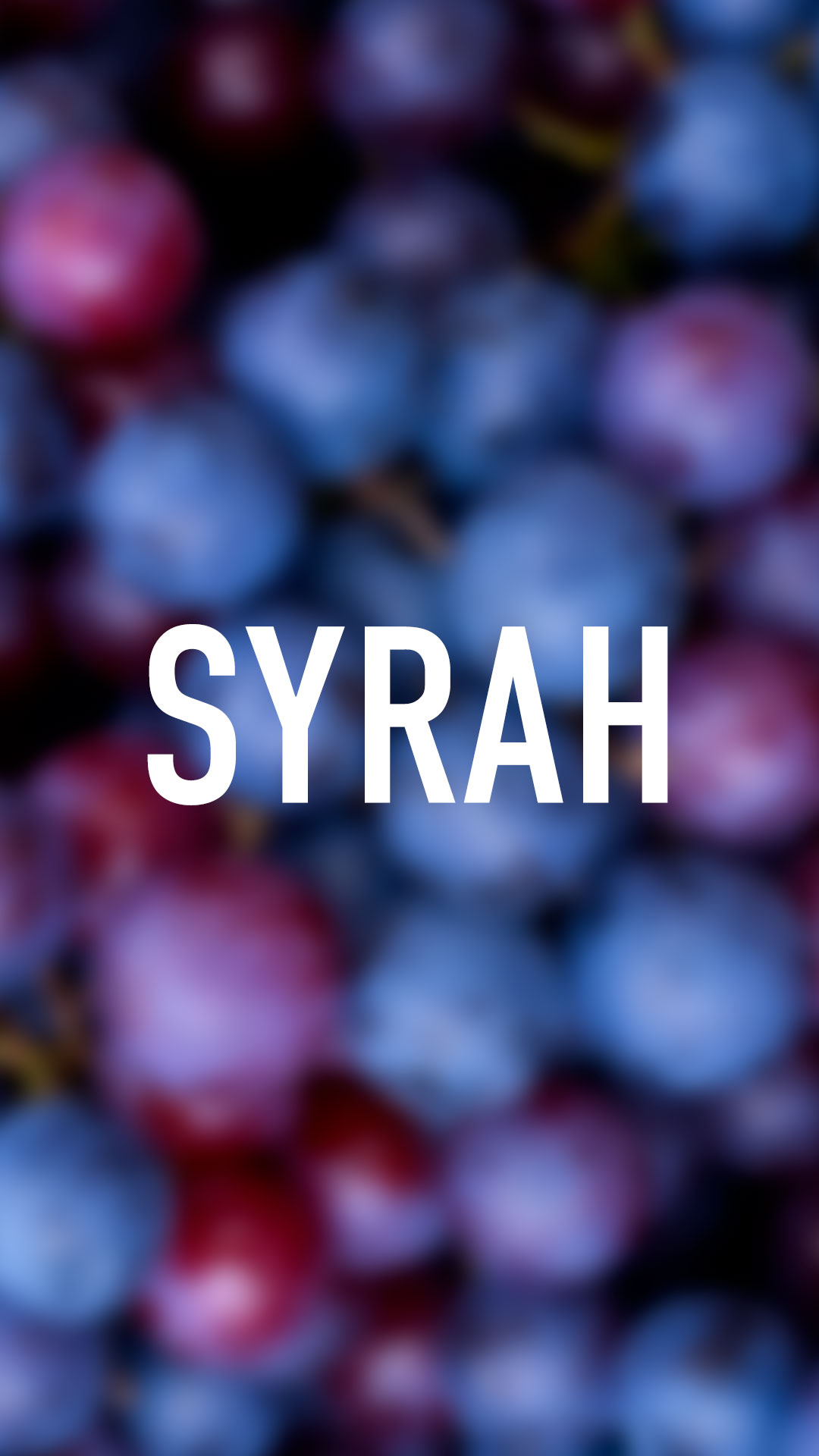 International Syrah Day: The Grape of Intensity and Elegance